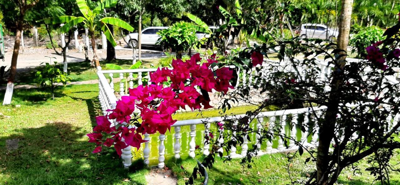 Hotel Campestre La Gaitana トビア エクステリア 写真